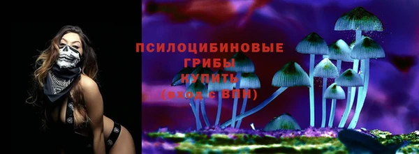 МДМА Богородицк