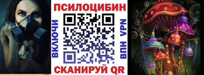 МЕГА ТОР  Красково  Псилоцибиновые грибы MAGIC MUSHROOMS 